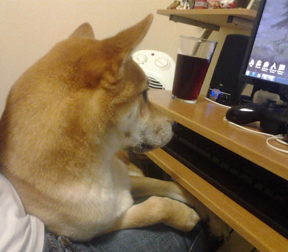 中国象棋协会发布象棋职业棋手培养计划，象棋职业棋手训练