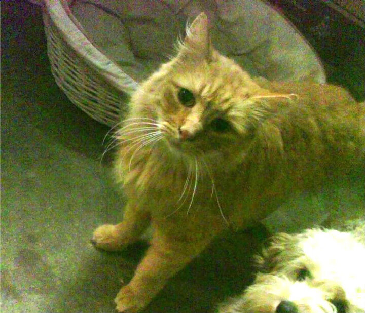 九游电竞平台官网-_极限攀岩体验：登顶高峰的快感无限_，极限攀岩介绍