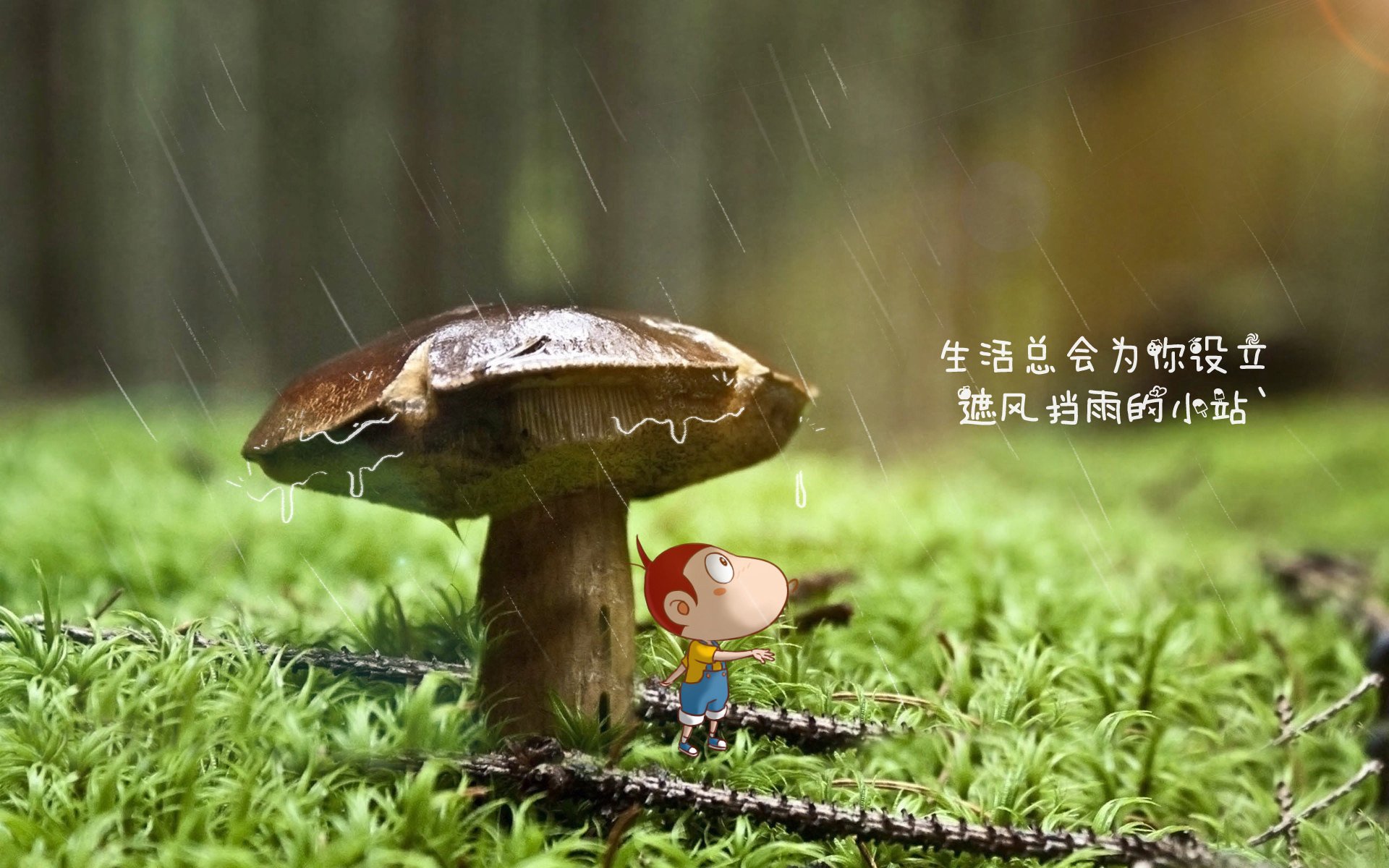“中超联赛全新积分榜出炉,争冠形势前所未有”,中超联赛积分榜排名规则