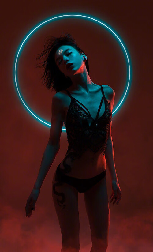 世界飞盘淘汰赛，团队配合的巅峰对决，世界飞盘联合会规定国际团队飞盘比赛每一分场上人数