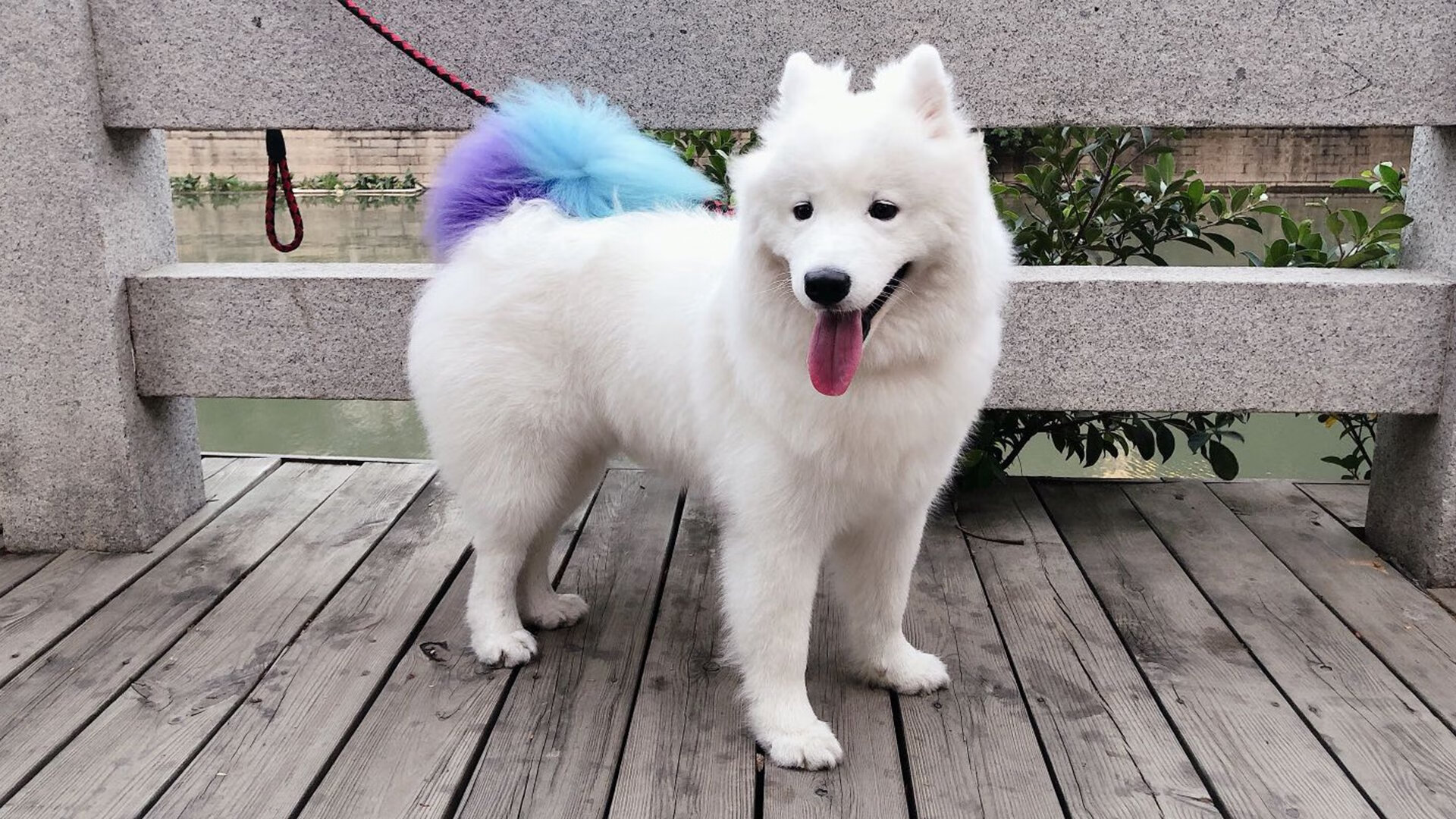 9游电竞资讯-史上最年轻“欧洲金靴”得主鼎盛登场，最年轻的欧洲金靴